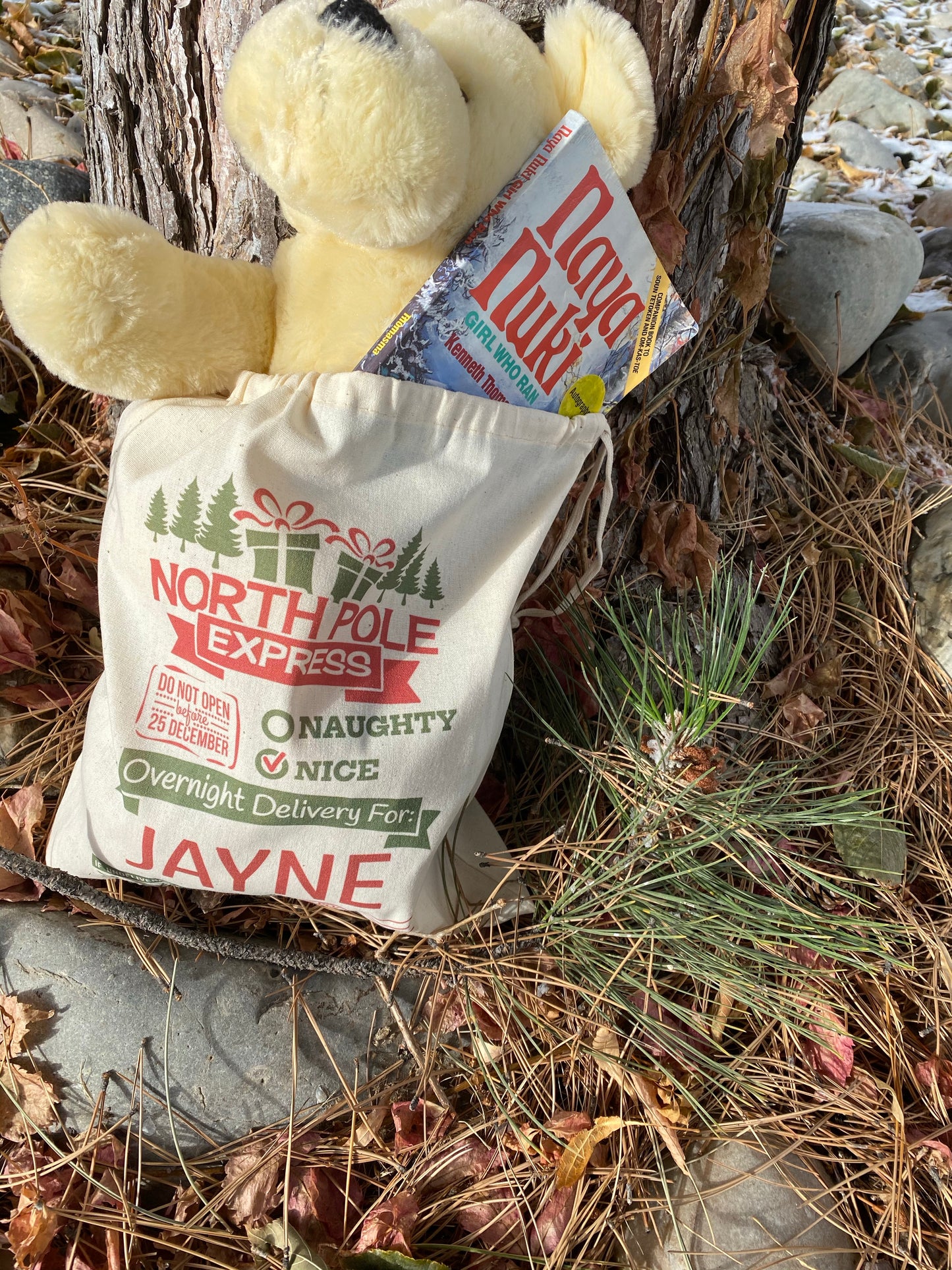 Personalized Santa sack with recipient’s name, DTG printed holiday gift bag measuring 14 by 12 inches